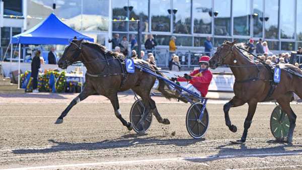 Foto: MALIN ALBINSSON / TR BILD