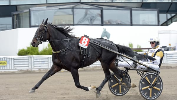 Foto: LARS JAKOBSSON / TR BILD