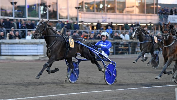 Foto: MALIN ALBINSSON / TR BILD