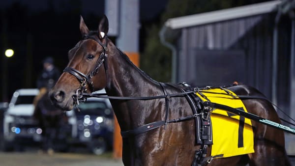 Foto: MATILDA ÖHRMAN / TR BILD