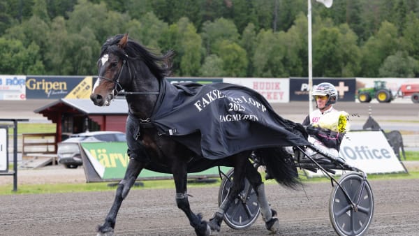 Foto: LENA EMMOTH / TR BILD