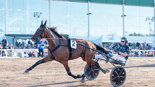 Foto: MIKAEL ROSENQUIST / TR BILD
