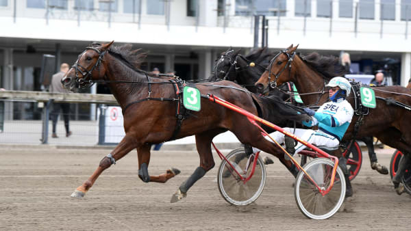 Foto: MALIN ALBINSSON / TR BILD