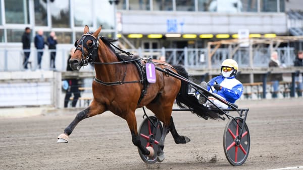 Foto: MALIN ALBINSSON / TR BILD