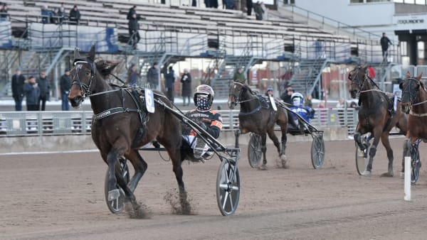 Foto: LARS JAKOBSSON / TR BILD