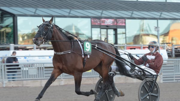 Foto: LARS JAKOBSSON / TR BILD