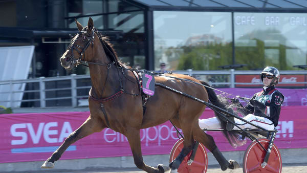 Foto: LARS JAKOBSSON / TR BILD