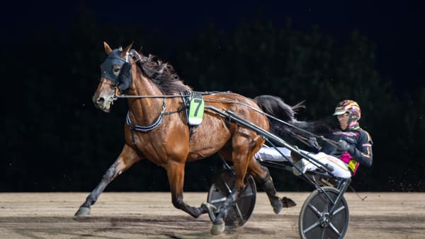 Foto: MIKAEL ROSENQUIST / TR BILD