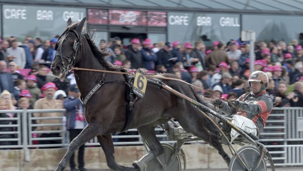 Foto: LARS JAKOBSSON / TR BILD