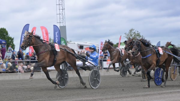 Foto: LARS JAKOBSSON / TR BILD