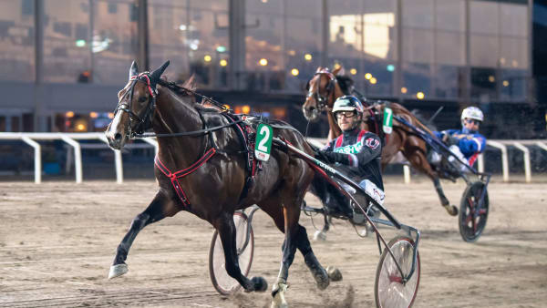 Foto: MIKAEL ROSENQUIST / TR BILD