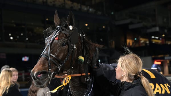 Foto: LARS JAKOBSSON / TR BILD