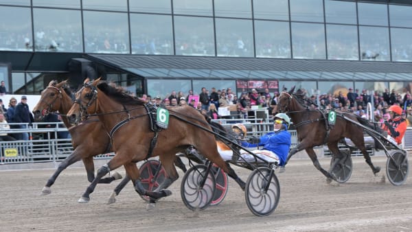 Foto: LARS JAKOBSSON / TR BILD