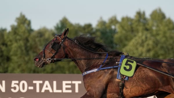 Foto: THOMAS BLOMQVIST / TR BILD