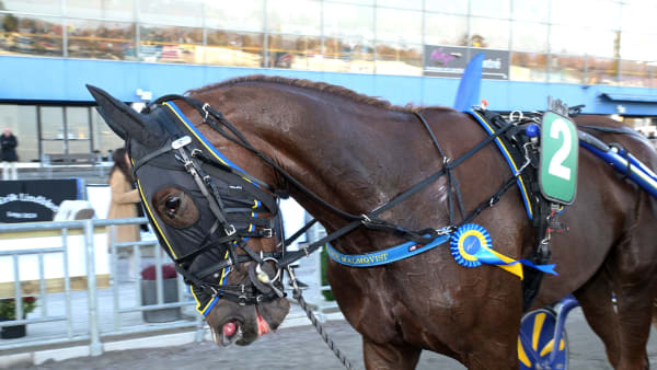 Foto: LARS JAKOBSSON / TR BILD