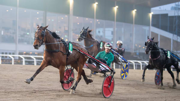 Foto: MIKAEL ROSENQUIST / TR BILD