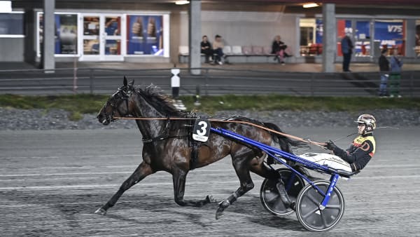 Foto: JENNY REHNMAN / TR BILD