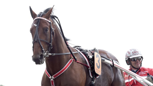 Foto: LARS JAKOBSSON / TR BILD