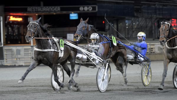 Foto: LARS JAKOBSSON / TR BILD