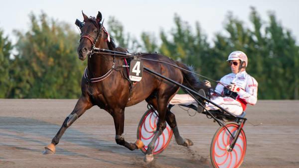 Foto: MIKAEL ROSENQUIST / TR BILD