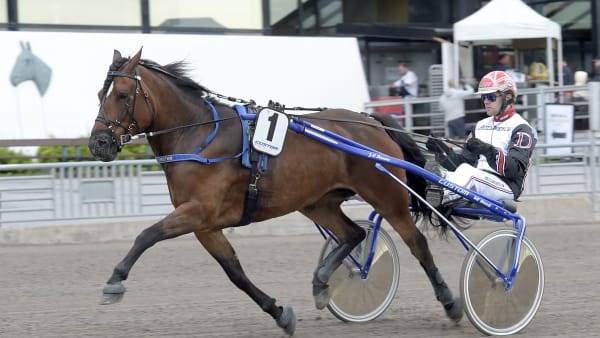 Foto: LARS JAKOBSSON / TR BILD