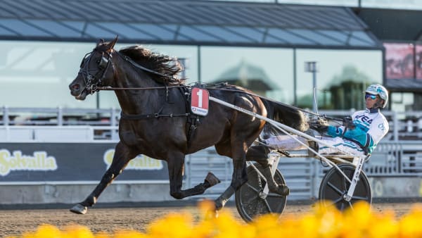 Foto: LENA EMMOTH / TR BILD