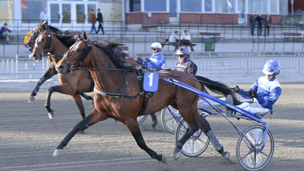 Foto: LARS JAKOBSSON / TR BILD