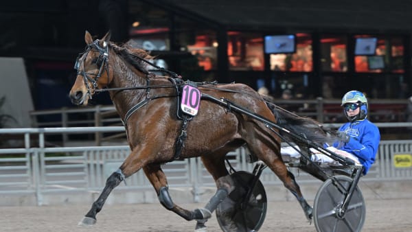 Foto: LARS JAKOBSSON / TR BILD