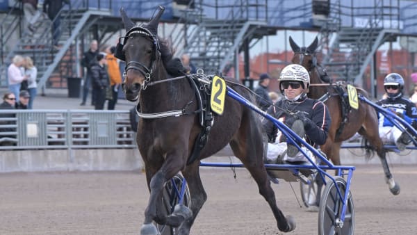 Foto: LARS JAKOBSSON / TR BILD
