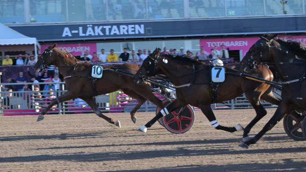 alla-vinnare-under-elitloppshelgen-2026-senaste-nyheterna-om-trav