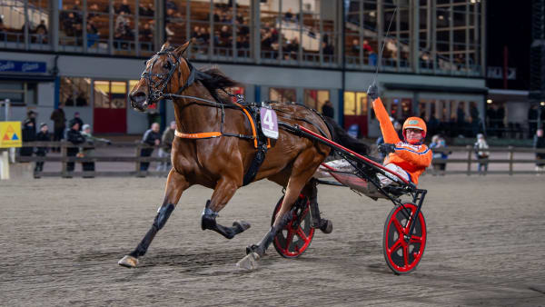 Foto: MIKAEL ROSENQUIST / TR BILD