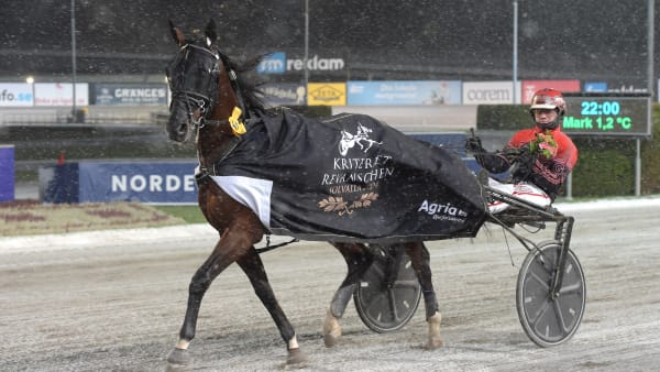Foto: LARS JAKOBSSON / TR BILD