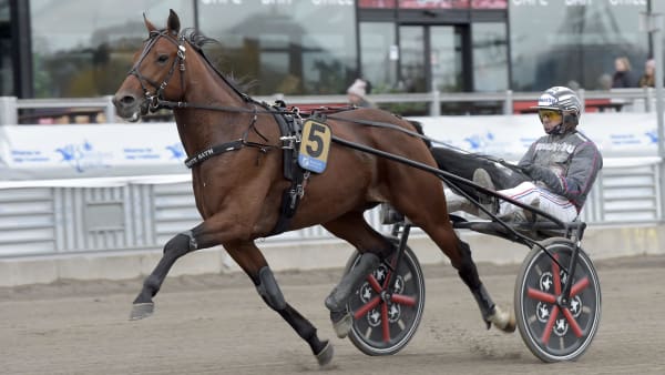 Foto: LARS JAKOBSSON / TR BILD