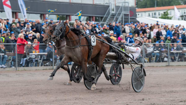 Foto: MIKAEL ROSENQUIST / TR BILD