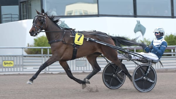 Foto: LARS JAKOBSSON / TR BILD