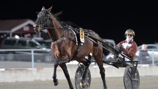 Foto: LARS JAKOBSSON / TR BILD