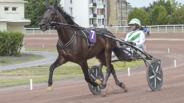 Foto: LARS JAKOBSSON / TR BILD