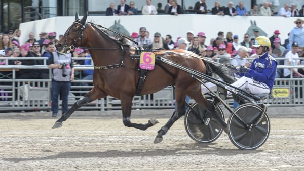 Foto: LARS JAKOBSSON / TR BILD