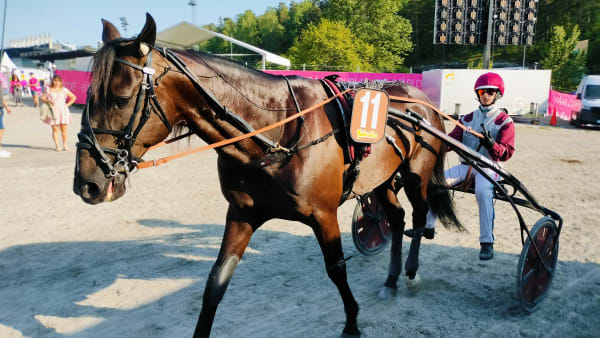Foto: LUCAS ERICSSON/TR BILD