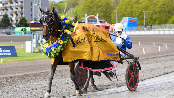 Foto: MALIN ALBINSSON / TR BILD