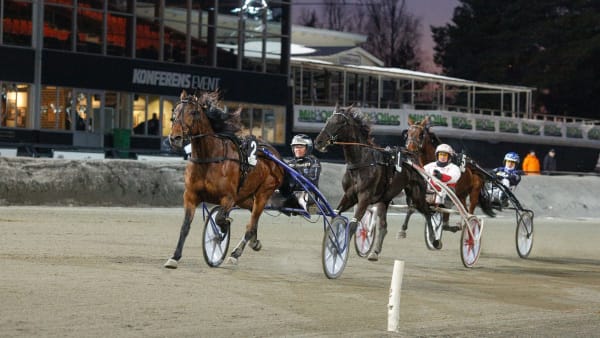 Foto: DAVID SCHREINER / TR BILD