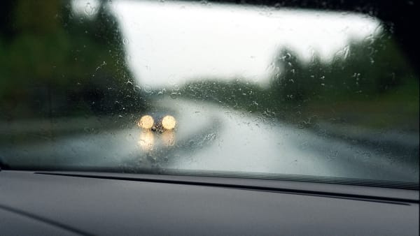 Foto: MIA TÖRNBERG/TR BILD