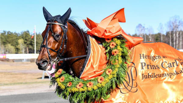 Foto: MALIN ALBINSSON / TR BILD