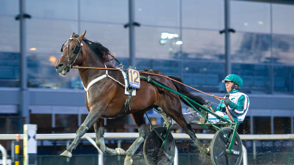 Foto: MIKAEL ROSENQUIST / TR BILD