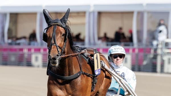Foto: LENA EMMOTH / TR BILD