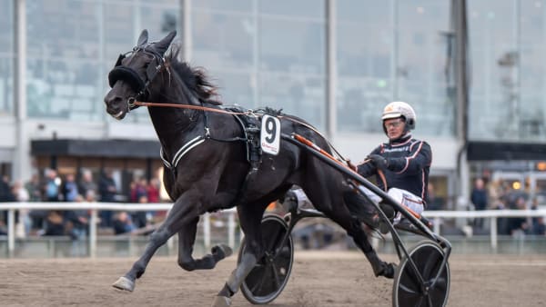Foto: MIKAEL ROSENQUIST / TR BILD