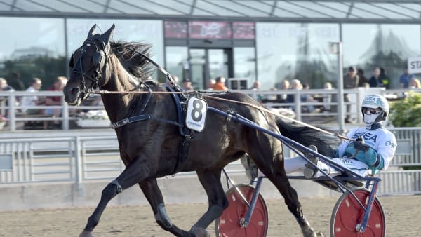 Foto: LARS JAKOBSSON / TR BILD