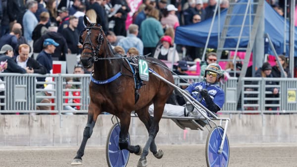 Foto: LENA EMMOTH / TR BILD
