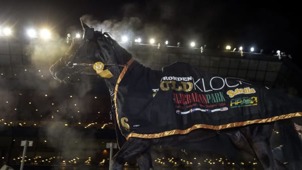 Foto: LARS JAKOBSSON / TR BILD