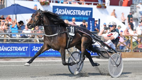 Foto: MALIN ALBINSSON / TR BILD